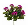 Allstate FBK107-FU 13.5 in. Fuchsia Kalanchoe Bushes X5- Case of 6 FBK107-FU